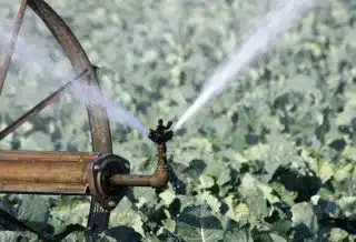 Les indispensables pour un système d'irrigation efficace choix du matériel et entretien