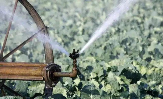 Les indispensables pour un système d'irrigation efficace choix du matériel et entretien